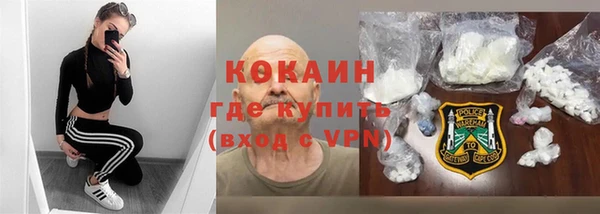 шишки Алексин