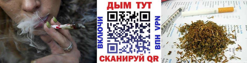 Бошки Шишки сатива Тырныауз
